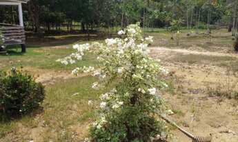 Imagem: Vende -se terreno