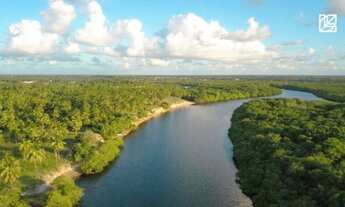 Imagem 3: LOTE VILLAREDO ARUANA !