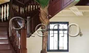 Imagem 4: Venda Terreno / lote com venda por R$5.500.000