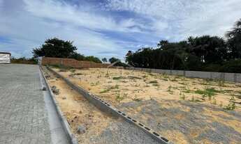 Imagem 6: Lote 245m² em Barreirinhas Prainha MKT¨TR144015¨-03