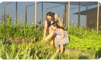 Imagem 6: Linda Chacrinha no sul de Minas e repasse de terrenos no Ceará