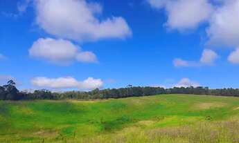 Imagem 4: Lote/Terreno para venda possui 500 metros quadrados em Embu Colonial - Embu das Artes - SP
