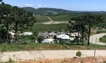 Imagem 2: 2 Terrenos juntos 520,70m2 + 590,81m2 de frente para a vínicola argenta