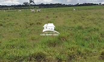 Imagem 6: Fazenda para Venda em Pedro Afonso, Região altamente produtiva