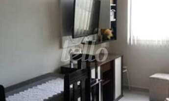 Imagem: São Paulo - Apartamento Padrão - Brás