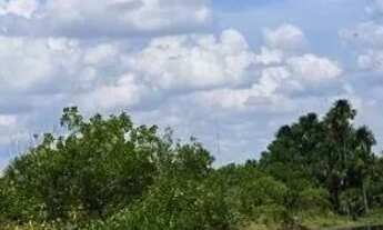 Imagem 5: Terreno De Chácara na Região do Água Boa 18km - Lei anúncio