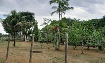 Imagem 2: Vendo terreno próximo a Manacapuru