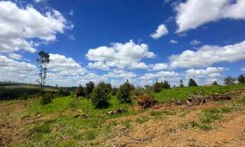 Imagem 6: Viva em Meio à Natureza: Terreno de 500m² em Ibiúna, a apenas 1h20 da Capital!