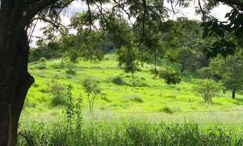 Imagem 2: Fazenda à venda, zona rural, Pires do Rio, GO