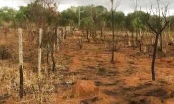 Imagem: Gleba em Baldim