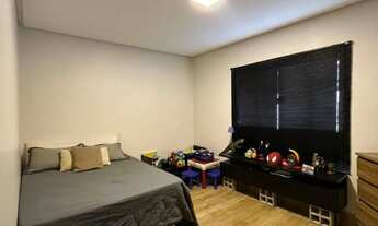 Imagem 3: Colônia agrícola samambaia