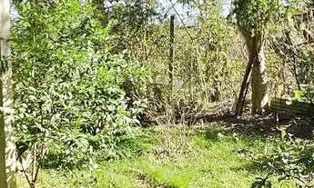 Imagem 5: Casa 1 dormitórios à venda Espírito Santo Porto Alegre/RS