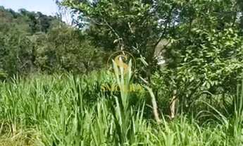 Imagem 7: Terreno à venda no bairro Ponta das Canas em Florianópolis/SC