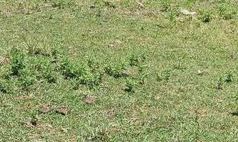 Imagem 4: Terreno a 200 metros da praia