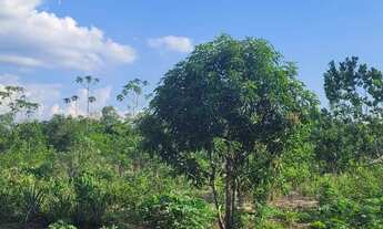 Imagem 5: Vendo ou troco Chácara