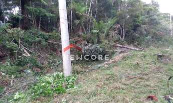 Imagem 6: Lote em Ruas Maracujás - Colinas - São Francisco de Paula/RS