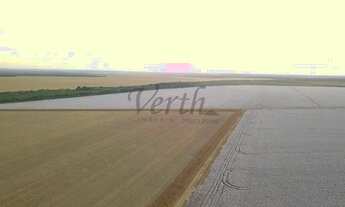 Imagem 4: Fazenda à Venda 3.300 ha Nova Mutum -MT