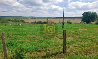 Imagem 7: CEDRAL (SP) Sítio com 2 alqueires