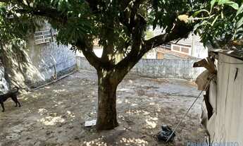 Imagem 4: TERRENO - JARDIM SANTA MÔNICA - SP