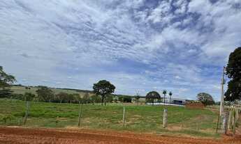 Imagem 5: Vende-se chácara em Bady Bassitt