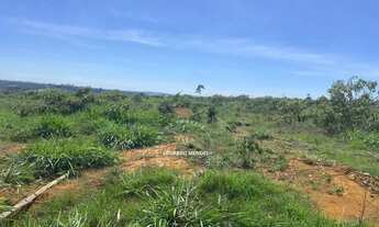 Imagem 4: Terra p/ plantio de lavouras, eucalipto, ou gado, 10 alqueires - Abadiânia - GO