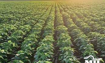 Imagem: Fazenda Agrícola em Acreúna-GO. 130 Alqueires