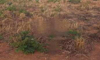 Imagem: LOTE A VENDA NO QUINTAS DA PRODUÇÃO!