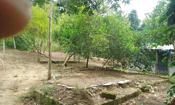 Imagem 7: Vendo sítio no km 19 da 070 Manoel Urbano