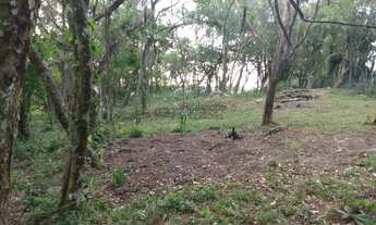 Imagem 7: Chácara 2 dormitórios à venda Zona Rural Morro Redondo/RS