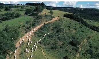 Imagem 5: Fazenda a venda, em Cocalzinho de Goiás!!!