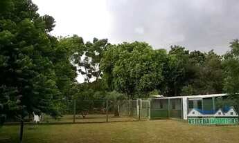 Imagem 4: Velleda oferece lindo sítio com estrutura pronta para canil e com excelente casa em Águas