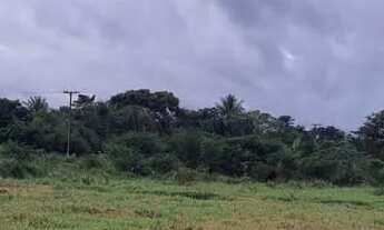 Imagem 6: TERRENO CONCEICAO DO JACUIPE(BERIMBAU) MIL METROS OTIMA LOCALIZACAO 60 mil