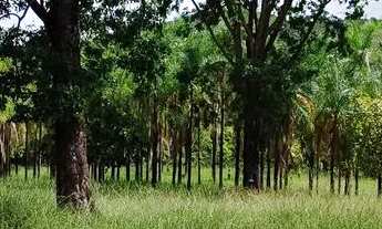 Imagem 5: Chácara em Pontalina