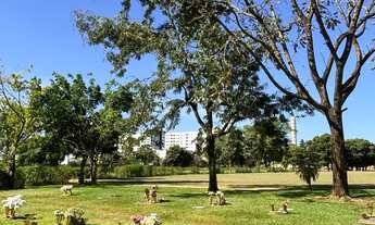 Imagem 4: Terrenos Jardim da Paz