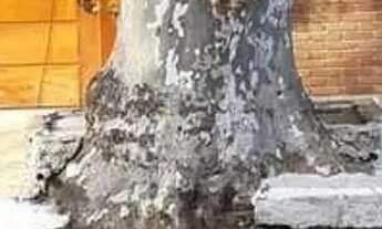 Imagem: Alugo quarto pousada diária e mensal