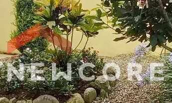 Imagem 2: Casa em Rua Paraguay - Floresta - Joinville/SC