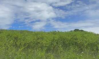 Imagem 4: Lotes para venda com 500 metros quadrados em Ressaca - Ibiúna - SP