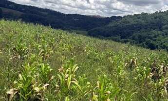 Imagem 5: Lotes residenciais p ara venda com 1000 metros quadrados em Colégio - Ibiúna - SP
