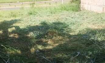 Imagem: Terreno em frente ao Tribunal de Contas