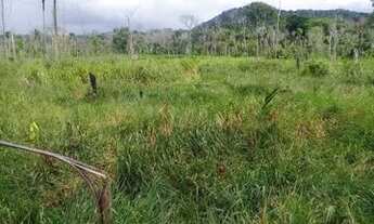 Imagem 7: Fazenda de 900 hectares Rorainópolis a 10 km da cidade