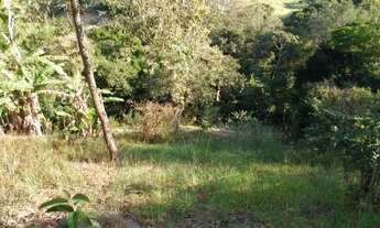 Imagem 7: Sítio ( Cachamorra ) Próximo ao Campo do Chacrinha , Zona Oeste RJ