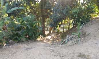 Imagem 4: Sítio ( Cachamorra ) Próximo ao Campo do Chacrinha , Zona Oeste RJ