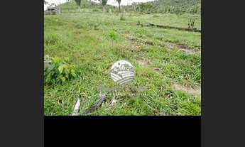 Imagem 3: Machadinho D'Oeste - Sítio - 17 Alqueires