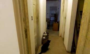 Imagem 2: Excelente localização Casa térrea para venda com 206 metro Vila Leopoldina - São Paulo - S