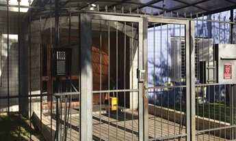 Imagem 3: Apartamento para aluguel tem 85 metros quadrados com 3 quartos em Floresta - Porto Alegre