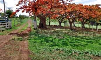 Imagem 6: Chácara de 09 alqueires em Goianápolis-Go