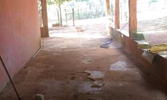 Imagem 3: Oportunidade vendo excelente chacara escriturada