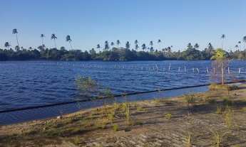 Imagem 7: Lote 6x25 localizava privilegiada capim de Roça Areninha Acude com 22km de extensão sangra