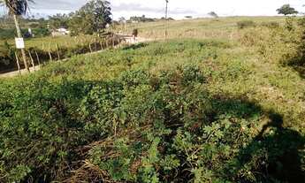 Imagem 4: Terrenos Conjunto de 4 lotes 1000 m2 esquina da fazenda tapera Cabaceiras do Paraguaçu