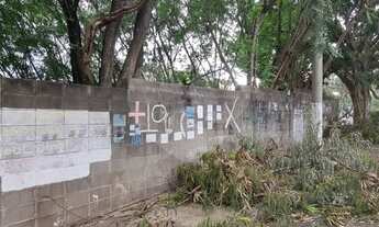 Imagem 4: Terreno-Campinas-NOVA CAMPINAS